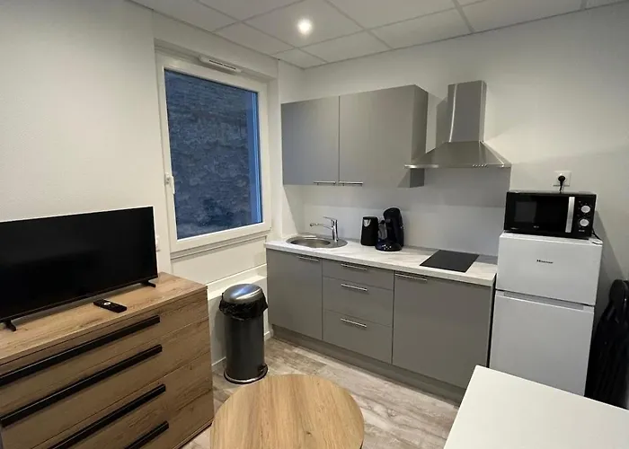 Petit Cocon A 5 Min Du Marche De Noel Apartment Strasbourg